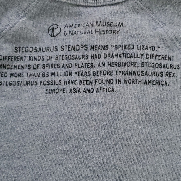 Kids sweatshirt by J Crew - Picture 3 of 4